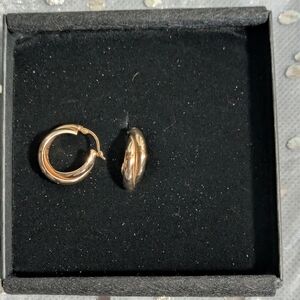 Chic Gold Hoop Earrings